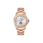 Rose Case White Dial Rose Band