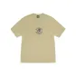 Elm Yellow
