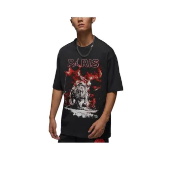 Jordan Paris Saint Germain T Shirt Men's Gray Black/Sail White