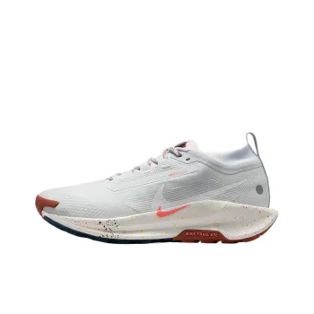 Nike React Pegasus Trail 5 Gore Tex Pure Platinum Football Grey Pink Foam White