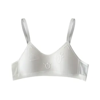 Lanza Women's Bras