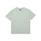 Light Olive Green