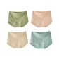 4 Pack (Fruit Green+Pink+Light Yellow+Blue)