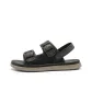 Black Gray