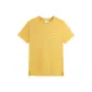Earth Yellow