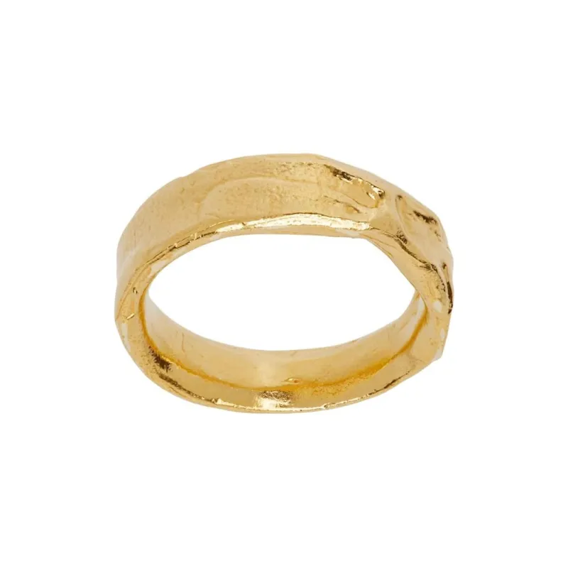 Alighieri 24K Gold, Gold Plated, Recycled 925 Sterling Silver Rings Men's Gold-0