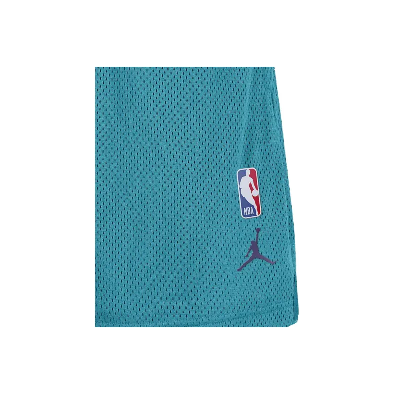 JORDAN Charlotte Hornets Men's Nike Nba Mesh Shorts-3