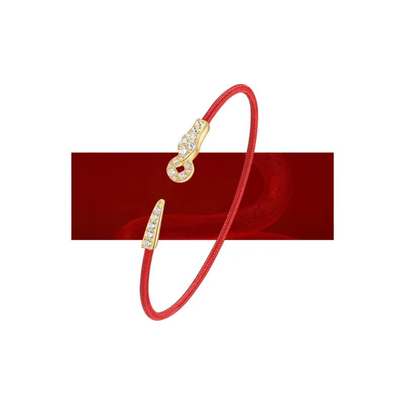 CIGA LONG 999 Fine Silver Bangles Unisex-7
