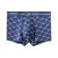 Blue Mesh