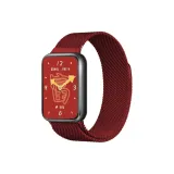 Exclusive Integrated[Beige Blue Magnetic]Burgundy