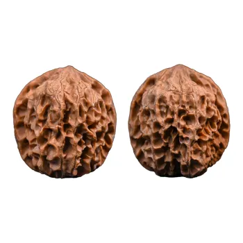 WUDE Walnut Fine Handicraft Collectible Unisex