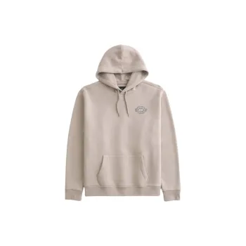 Hollister Sweatshirt Unisex Light Brown