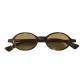 Tortoiseshell