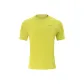 Lime Yellow
