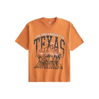 Hollister T Shirt Men's Burnt Orange