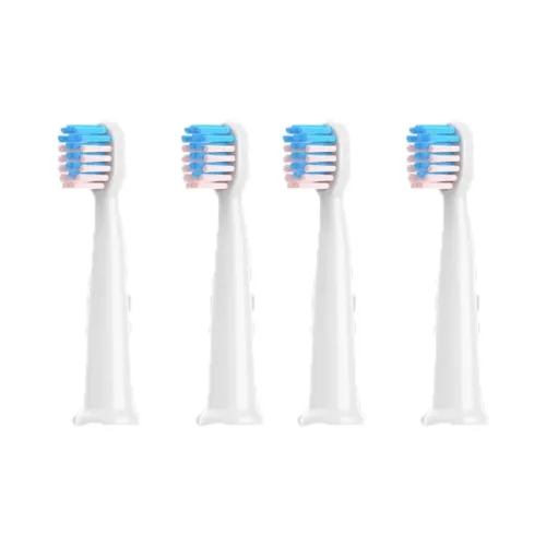 Fly Toothbrush Heads