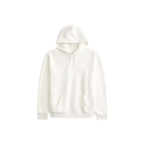 Hollister Sweatshirts Men