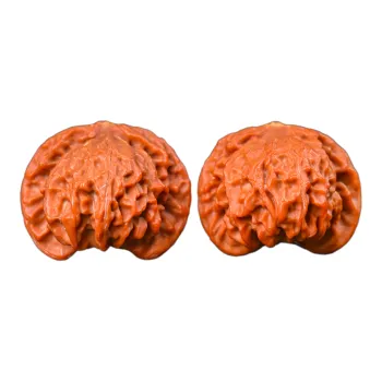 WUDE Walnut Fine Handicraft Handlebar Piece Unisex