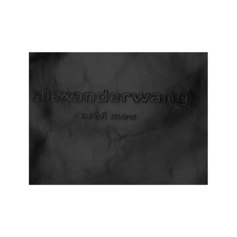 Alexander Wang Small Pinch Top Handle Bag-3