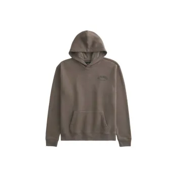 Hollister Sweatshirt Men's Brown