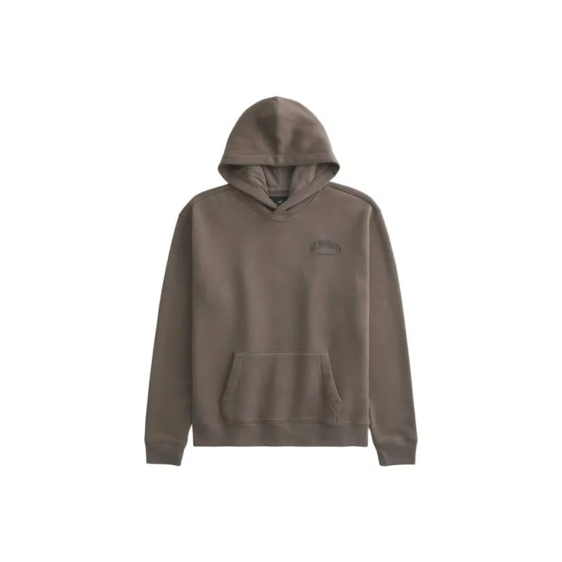 Hollister Sweatshirt Men's Brown-0