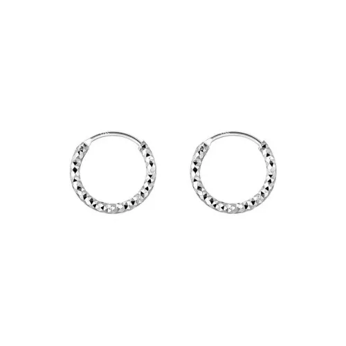 Beauty S925 Silver Earrings Women's