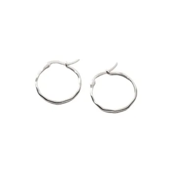 Beauty S925 Silver Earrings Women's