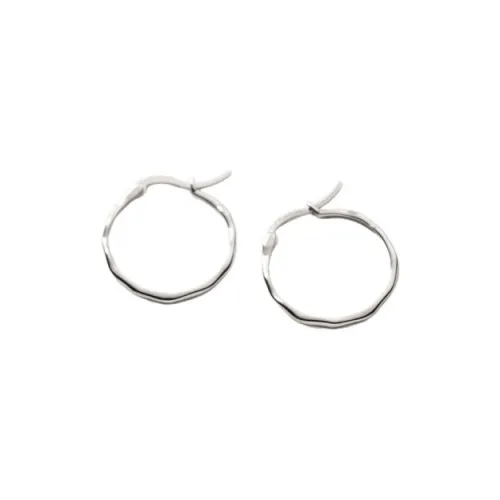 Beauty S925 Silver Earrings Women's