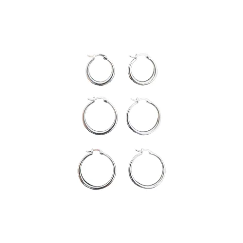 Beauty S925 Silver Earrings Women's