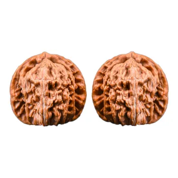 XUWU Walnut Fine Handicraft Collectible Unisex