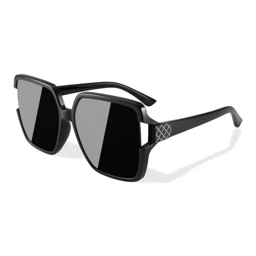 PULAIS TR/Memory Plastic Irregular Shape Sunglasses Womens