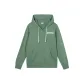 Light Green Gray