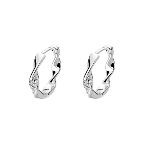 Beauty S925 Silver Earrings Women's