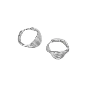 Beauty S925 Silver Earrings Women's