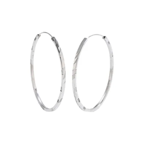 Beauty S925 Silver Earrings Women's