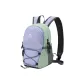 Twilight Mountain Purple