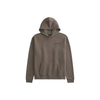 Hollister Sweatshirt Unisex Brown