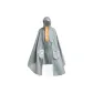 Silver Gray
