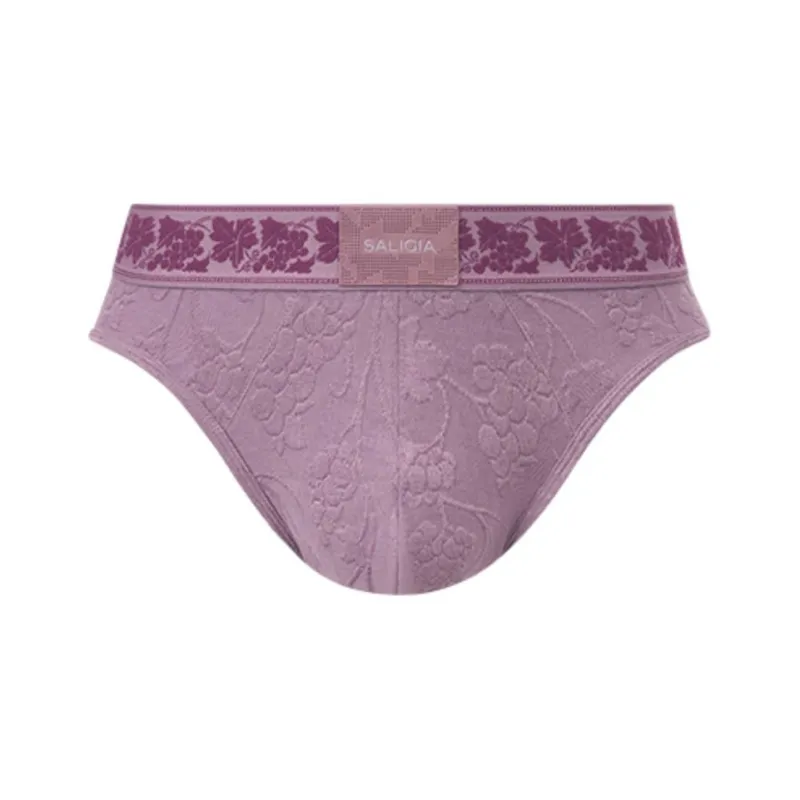 SALIGIA Underpants Men's Combo Set-4