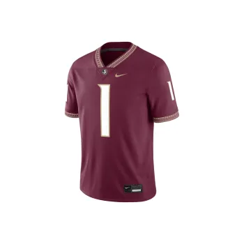 Nike Florida State Seminoles Men's Nike Dri FIT College Game Jersey