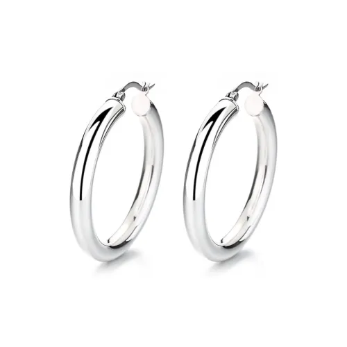 Beauty S925 Silver Earrings Women's