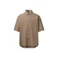 Chestnut Shell Brown Color