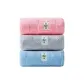 Towel 1 Pack, Random Color