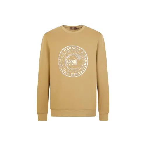 Hoodies & Sweatshirts