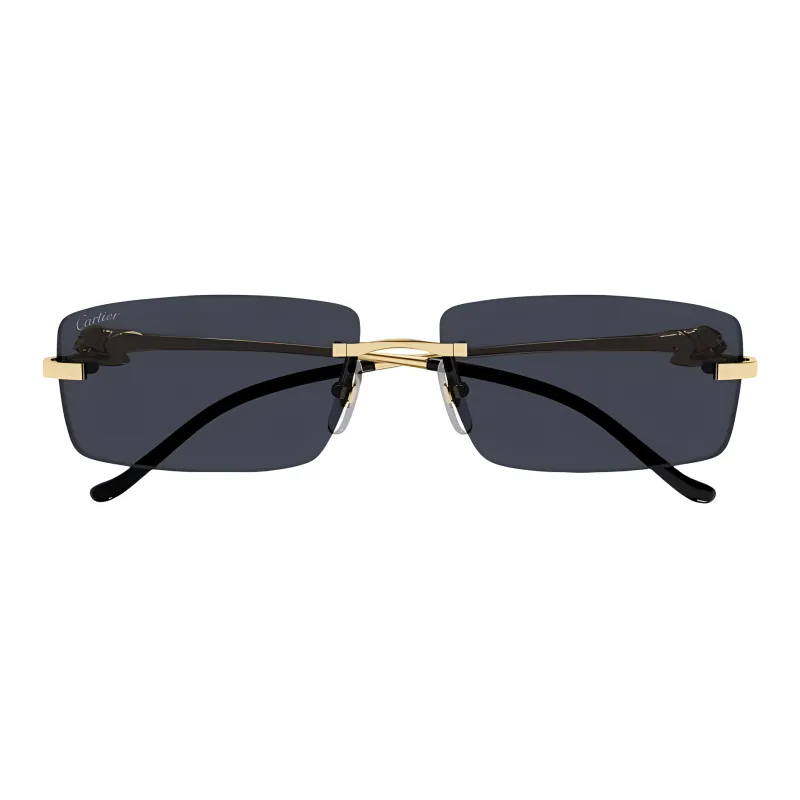 Cartier Rectangular Frame Sunglasses-1