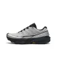 Gray Silver