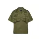 Dark Olive Green