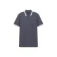 Blue Gray