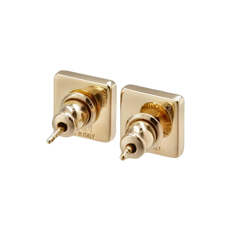 FENDI Forever Logo Earrings-2