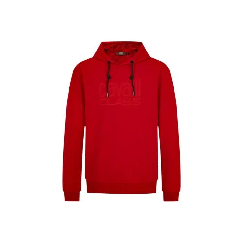 Hoodies & Sweatshirts